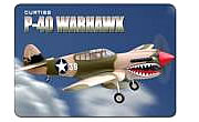 P40 Warhawk 50cc